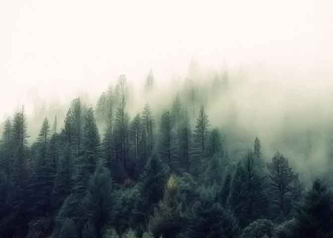 安全无后顾之忧的手机号测压平台